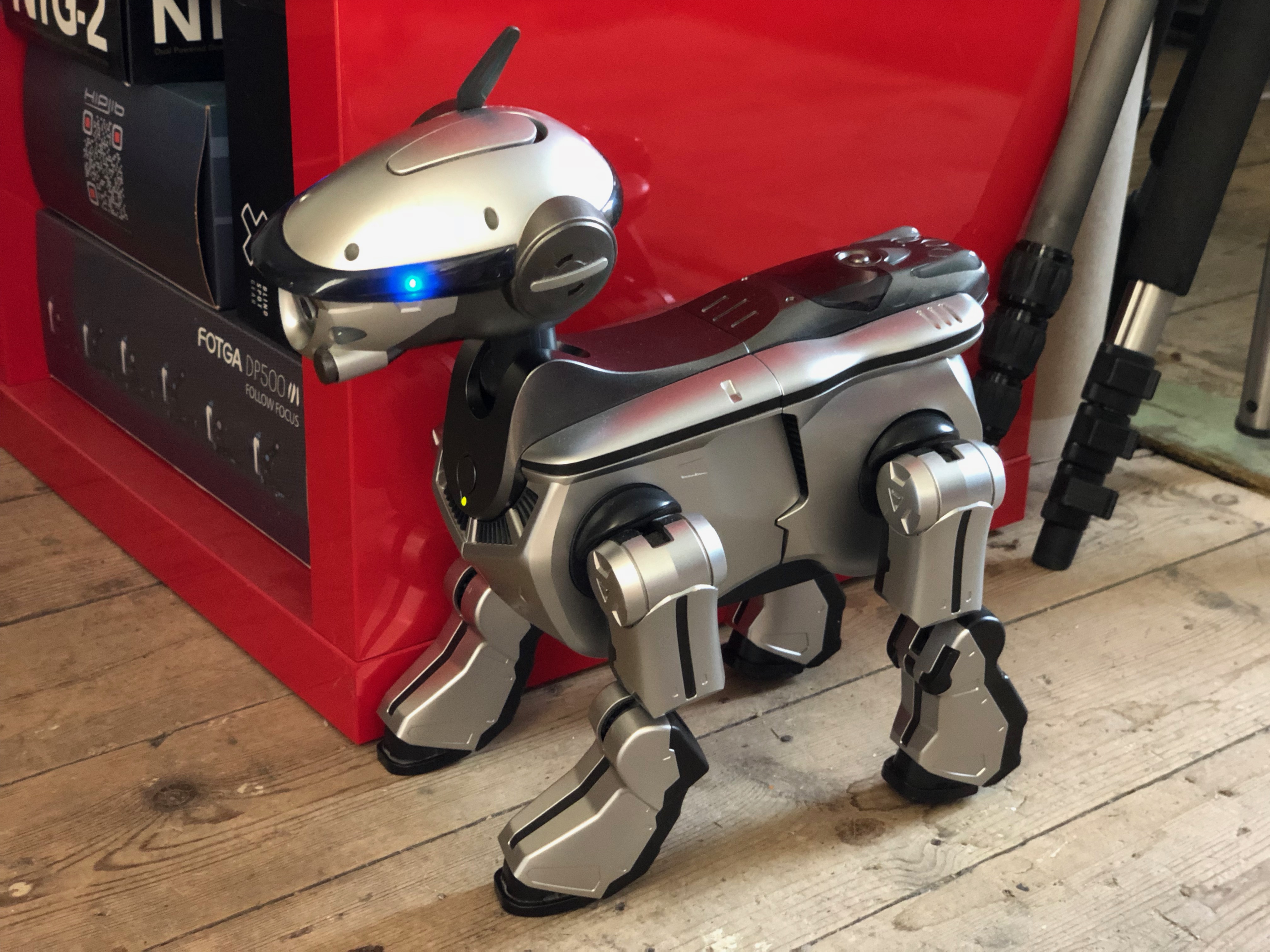 AIBO is back!